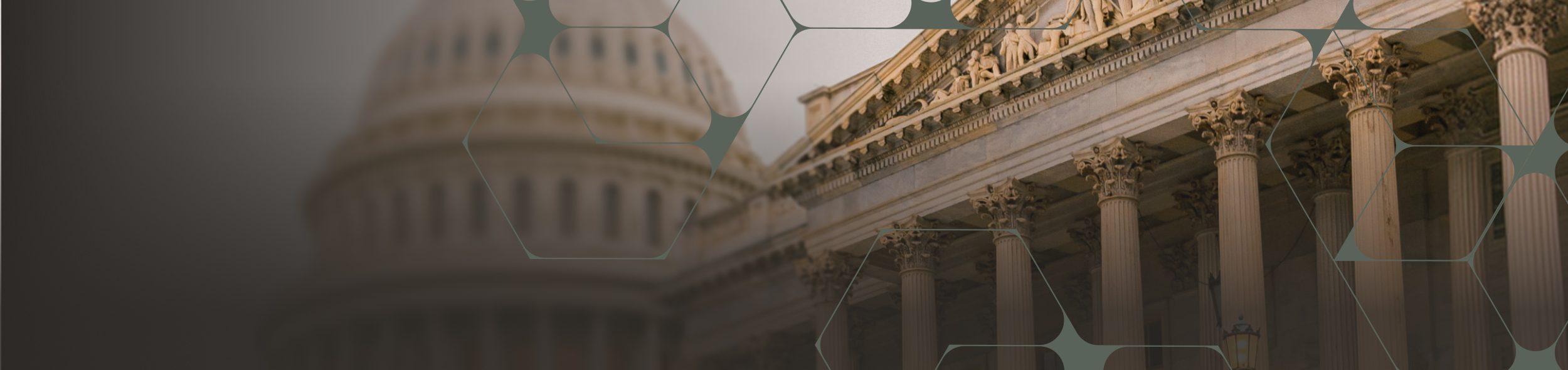 Stylized image of a government building with a network overlay