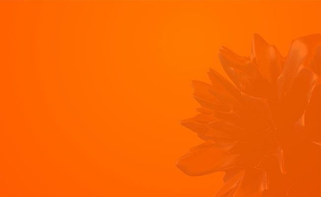Transform Higher Education