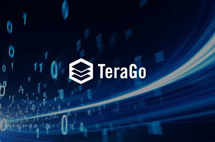 TeraGo Business Transformation | Everpure