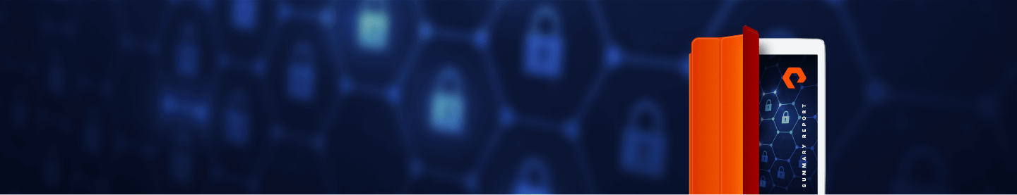 Insights and Strategies from  Leading CISOs