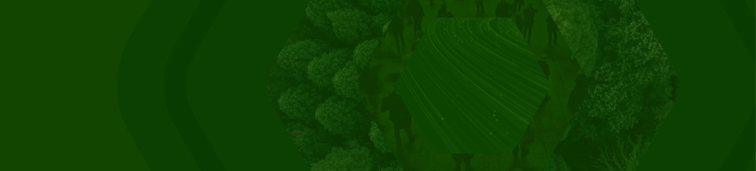 A green background with faint outlines of trees and people.
