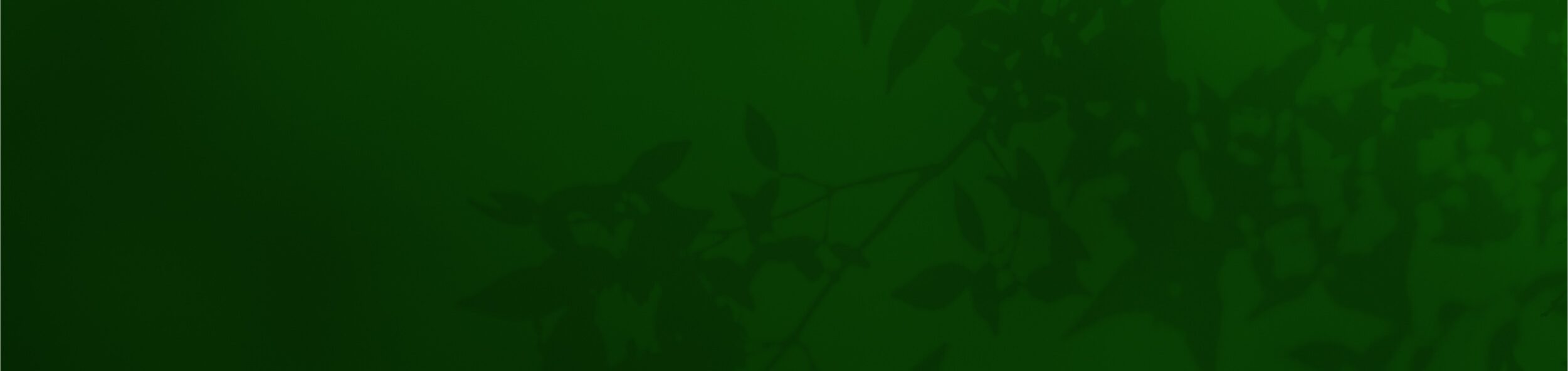 Documents Displayed on a Green Surface