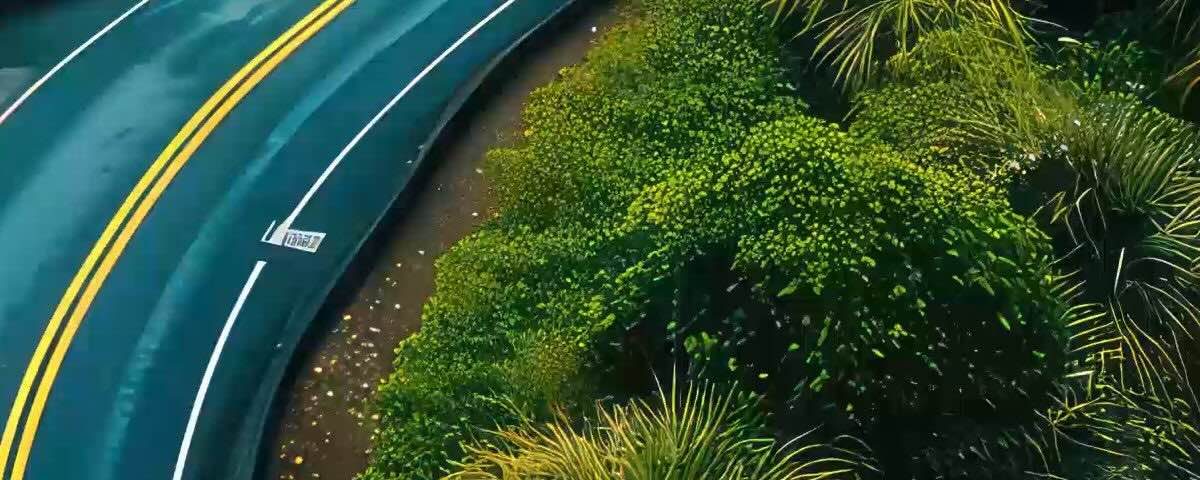 蓊鬱的樹景與蜿蜒的道路
